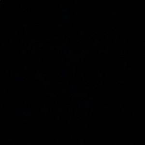 Meet your Posher, Le